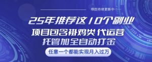 25年推荐这10个副业项目包含褂鸡类、代运营托管类、全自动打金类【揭秘】-川融创客