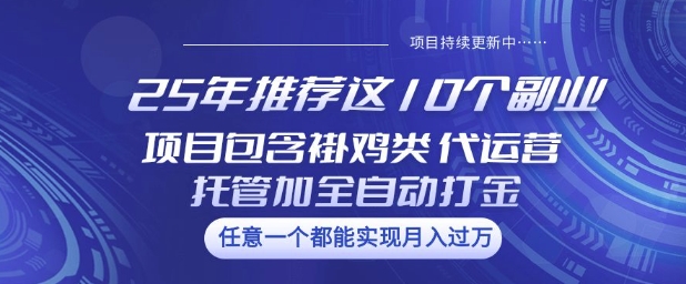 25年推荐这10个副业项目包含褂鸡类、代运营托管类、全自动打金类【揭秘】-川融创客