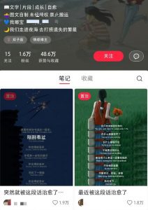 小红书治愈文案图文笔记，零门槛，一分钟制作轻松制作爆款作品月入万元-川融创客