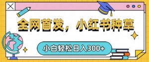 小红书种草，手机项目，日入3张，复制黏贴即可，可矩阵操作，动手不动脑【揭秘】-川融创客