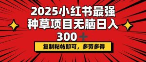 2025小红书最强种草项目，无脑日入300+，复制粘帖即可，多劳多得-川融创客