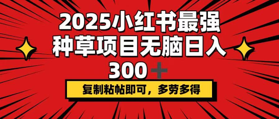 2025小红书最强种草项目，无脑日入300+，复制粘帖即可，多劳多得-川融创客