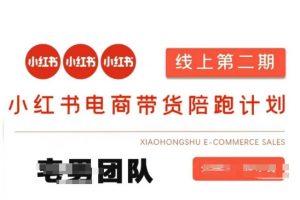 小红书电商带货课2期，月利润20个的小红书电商的有货源，无货源，虚拟产品，付费投流等整套玩法-川融创客