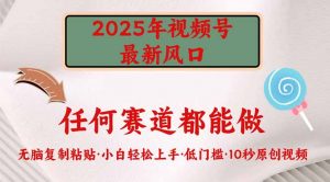 2025年视频号新风口，低门槛只需要无脑执行-川融创客