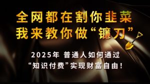 全网都在割你韭菜，我来教你做镰刀,2025普通人如何通过知识付费，实现财F自由【揭秘】-川融创客