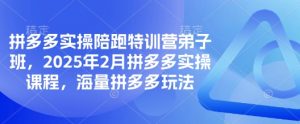 拼多多实操陪跑特训营弟子班，2025年2月拼多多实操课程，海量拼多多玩法-川融创客