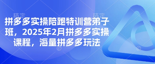 拼多多实操陪跑特训营弟子班，2025年2月拼多多实操课程，海量拼多多玩法-川融创客