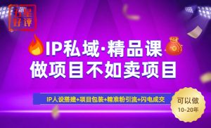 2025年“IP私域·密训精品课”，日赚3000+小白避坑年赚百万，暴力引流...-川融创客