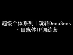 超级个体系列，玩转DeepSeek·自媒体IP训练营，deepseek教程-川融创客