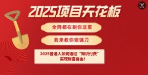 2025项目天花板普通人如何通过知识付费，实现财F自由【揭秘】-川融创客