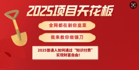 2025项目天花板普通人如何通过知识付费,实现财F自由【揭秘】-川融创客