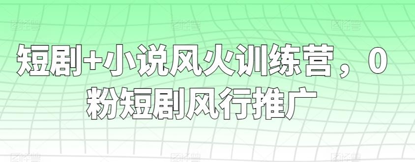 短剧+小说风火训练营,0粉短剧风行推广
