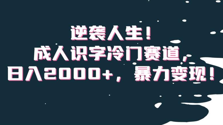 逆袭人生！成人识字冷门赛道，日入2000+，暴力变现！【揭秘】-川融创客