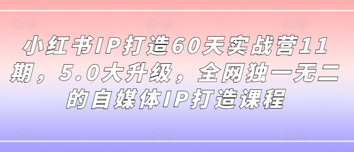 小红书IP打造60天实战营11期，5.0大升级，全网独一无二的自媒体IP打造课程-川融创客