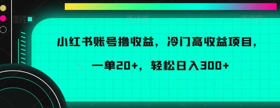 小红书账号撸收益，冷门高收益项目，一单20+，轻松日入300+【揭秘】-川融创客