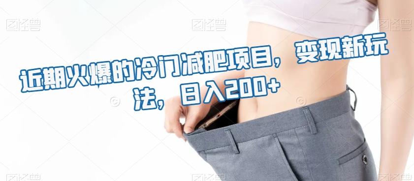 近期火爆的冷门减肥项目，变现新玩法，日入200+-川融创客