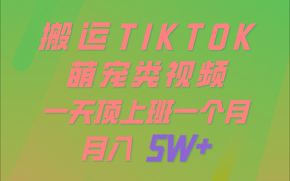 一键搬运TIKTOK萌宠类视频，一部手机即可操作，所有平台均可发布 轻松月入5W+-川融创客