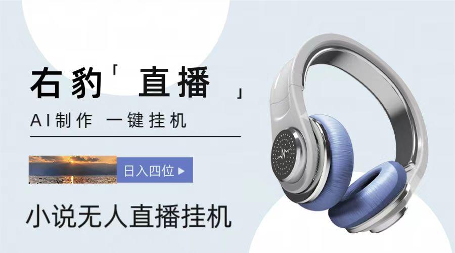 右豹小说无人直播挂机吸金项目,简单易行收益稳定, 月入1000+-川融创客