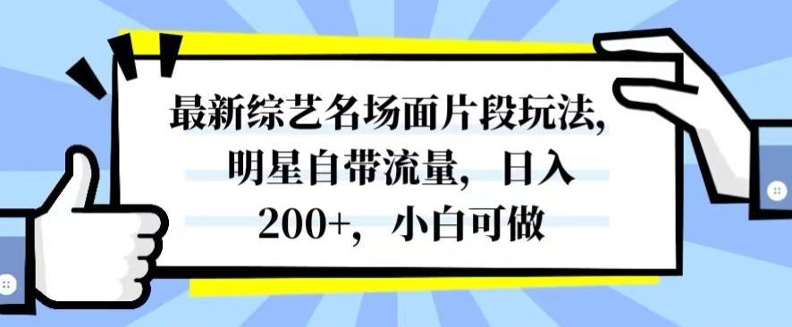 最新综艺名场面片段玩法，明星自带流量，日入200+，小白可做【揭秘】-川融创客