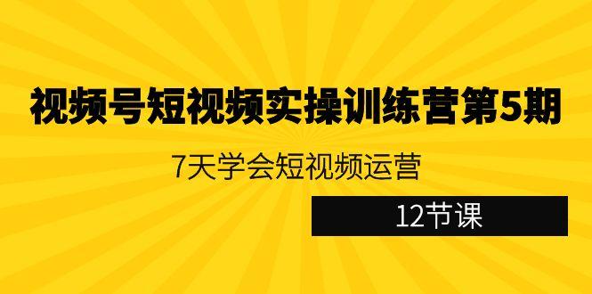 视频号短视频实操训练营第5期：7天学会短视频运营(12节课)-川融创客