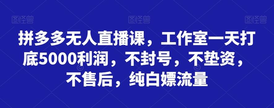 拼多多无人直播课，工作室一天打底5000利润，不封号，不垫资，不售后，纯白嫖流量-川融创客