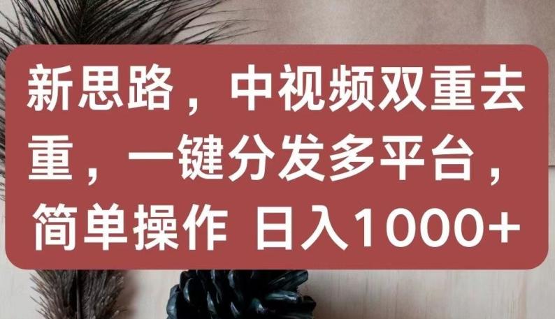 新思路，中视频双重去重，一键分发多平台，简单操作，日入1000+【揭秘】-川融创客