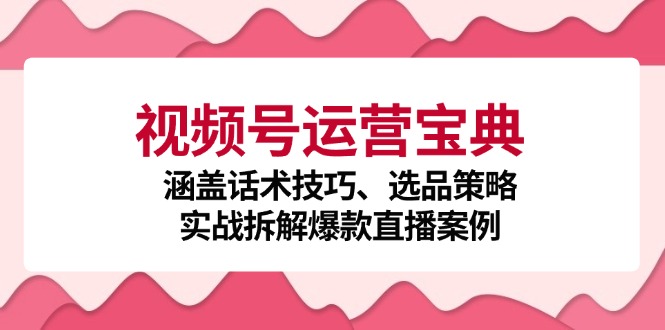 视频号运营宝典：涵盖话术技巧、选品策略、实战拆解爆款直播案例-川融创客