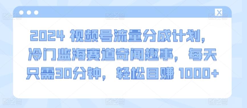 2024视频号流量分成计划,冷门监海赛道奇闻趣事,每天只需30分钟,轻松目赚 1000+【揭秘】