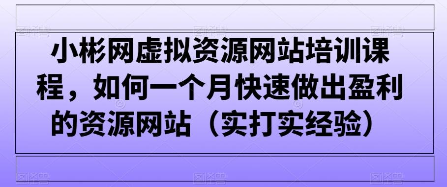 小彬网虚拟资源网站培训课程，如何一个月快速做出盈利的资源网站(实打实经验)-川融创客