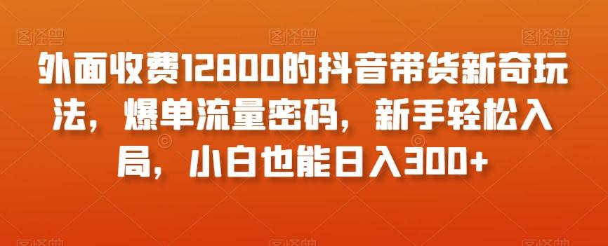 外面收费12800的抖音带货新奇玩法，爆单流量密码，新手轻松入局，小白也能日入300+【揭秘】-川融创客