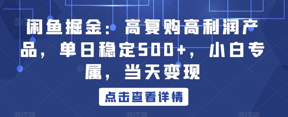 闲鱼掘金：高复购高利润产品，单日稳定500+，小白专属，当天变现-川融创客