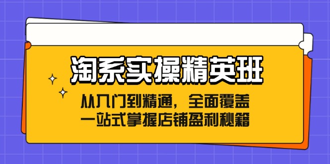 淘系实操精英班：从入门到精通，全面覆盖，一站式掌握店铺盈利秘籍-川融创客