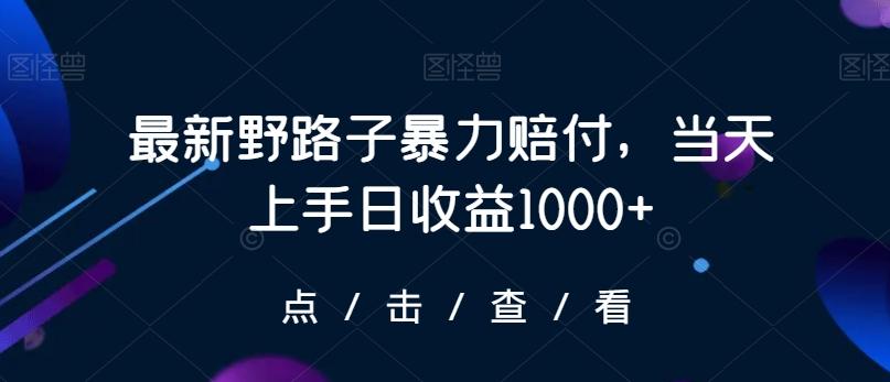 最新野路子暴力赔付，当天上手日收益1000+【仅揭秘】-川融创客