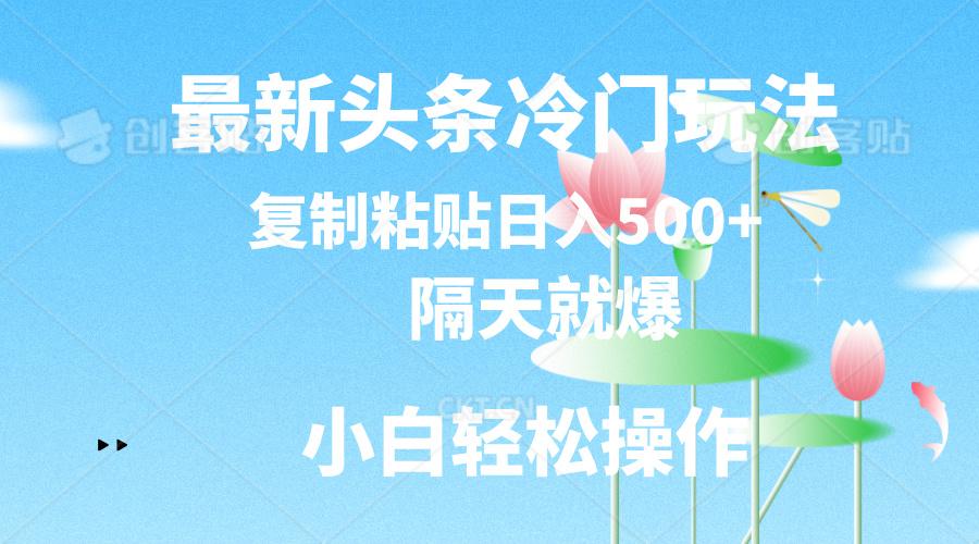 最新头条冷门玩法，隔天就爆，复制粘贴日入500+-川融创客