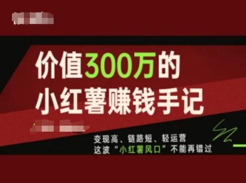 价值300万的小红书赚钱手记，变现高、链路短、轻运营，这波“小红薯风口”不能再错过-川融创客