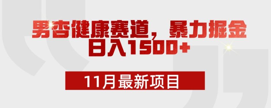 11月最新项目，男杏健康赛道，暴力掘金，日入1500+-川融创客