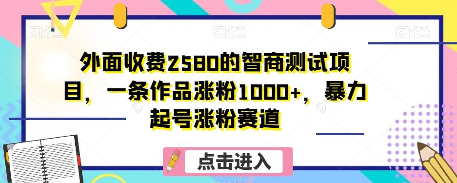 外面收费2580的智商测试项目，一条作品涨粉1000+，暴力起号涨粉赛道【揭秘】-川融创客