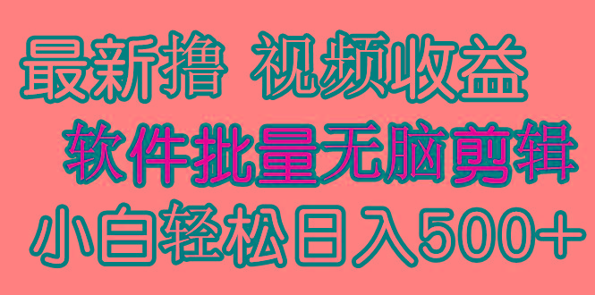(9569期)发视频撸收益，软件无脑批量剪辑，第一天发第二天就有钱-川融创客