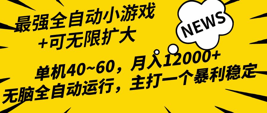 (10046期)2024最新全网独家小游戏全自动，单机40~60,稳定躺赚，小白都能月入过万-川融创客
