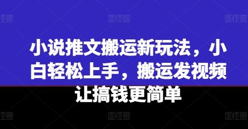 小说推文搬运新玩法，小白轻松上手，搬运发视频让搞钱更简单-川融创客