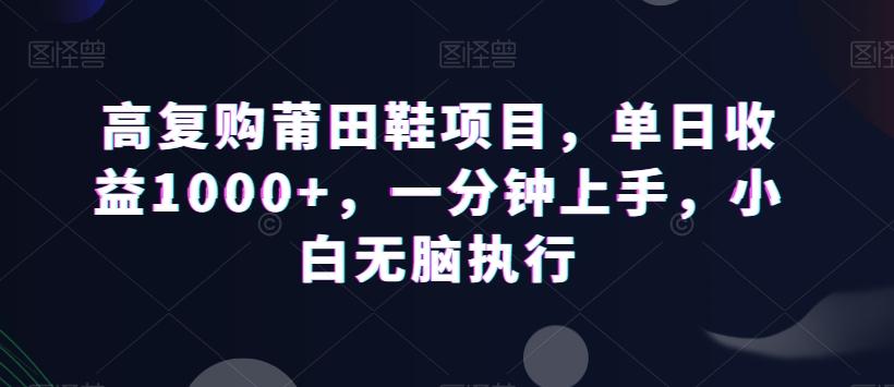 高复购莆田鞋项目，单日收益1000+，一分钟上手，小白无脑执行-川融创客