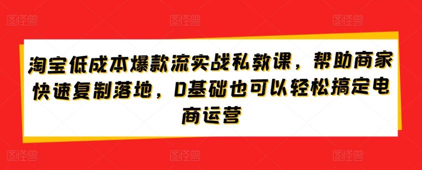 淘宝低成本爆款流实战私教课，帮助商家快速复制落地，0基础也可以轻松搞定电商运营-川融创客