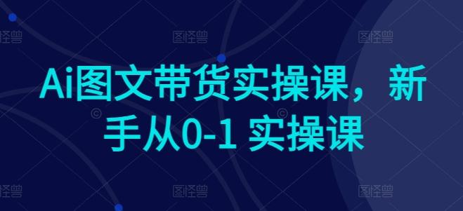 Ai图文带货实操课，新手从0-1 实操课-川融创客