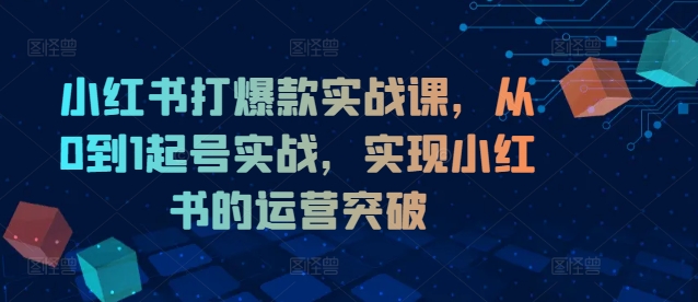 小红书打爆款实战课，从0到1起号实战，实现小红书的运营突破-川融创客