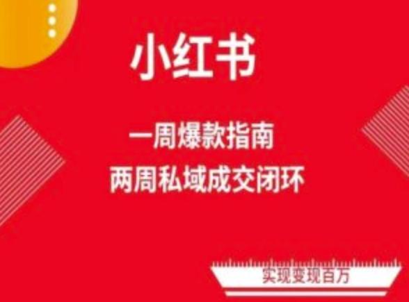 爆款小红书免费流量体系课程(两周变现)，小红书电商教程-川融创客