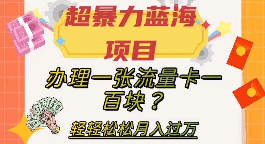 超暴力蓝海项目，办理一张流量卡一百块？轻轻松松月入过万，保姆级教程【揭秘】-川融创客