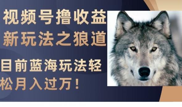 视频号撸收益新玩法之狼道，目前蓝海玩法，轻松月入过万【揭秘】-川融创客