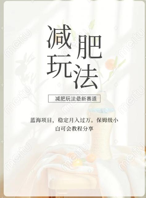 减肥流量主新玩法，轻松月入1W，可矩阵操作收入翻倍-川融创客