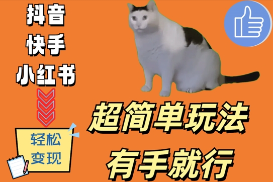 超简单玩法，有手就行，靠猫咪视频日入500+【揭秘】-川融创客