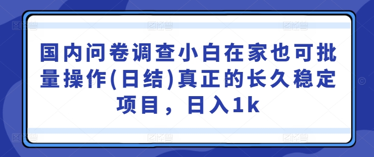国内问卷调查小白在家也可批量操作(日结)真正的长久稳定项目，日入1k【揭秘】-川融创客